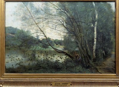 Dammen med et slikket tre Maleri av Camille Corot (1796-1875) Reims fra 1800-tallet, Musee des Beaux Arts av Jean Baptiste Camille Corot