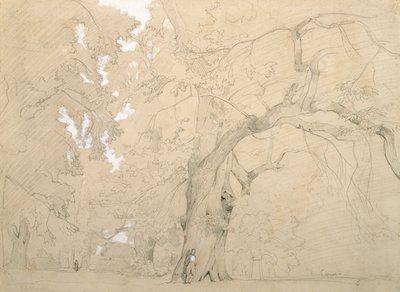 Ung mann foran en stor eik, ca. 1840 (blyant og gouache på papir) av Jean Baptiste Camille Corot