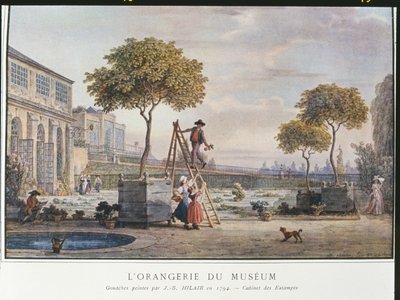 Orangeriet på museet i Paris i 1794 av Jean Baptiste Hilair