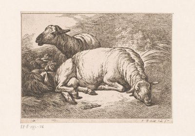 To sauer Ulike forestillinger av Huet (serietittel) Cahiers d