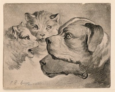 Hoder av katter og hunder av Jean Baptiste Huet