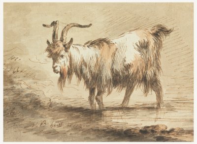Studie av en geit av Jean Baptiste Huet