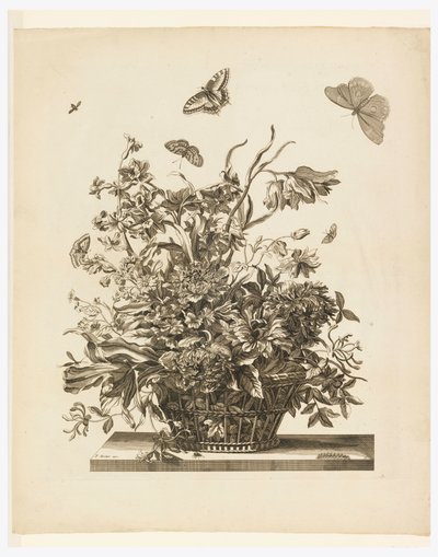 Plate 10, fra sett med blomster i en kurv av Jean Baptiste Monnoyer