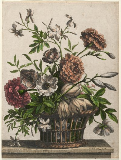 Ringblomster, singel Anemone, Jasmine.... av Jean Baptiste Monnoyer I