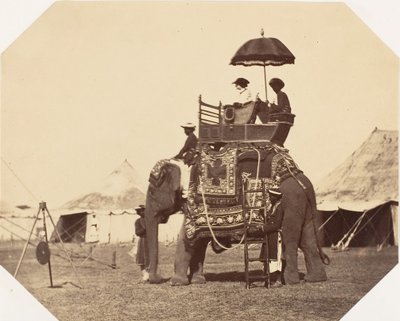[Lady Canning], 1858-61. av Jean Baptiste Oscar Mallitte