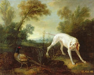 Blanche, tispe fra Royal Hunting Pack av Jean Baptiste Oudry