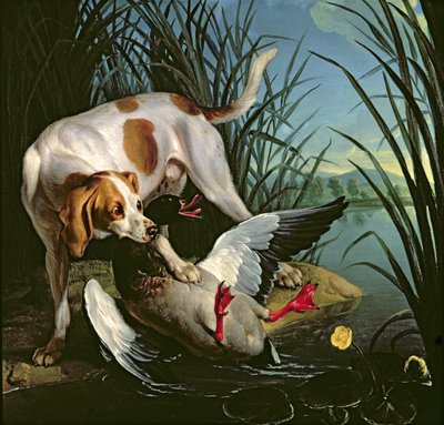 Hund med en villand av Jean Baptiste Oudry