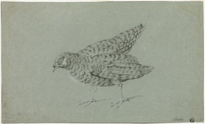 Rapphøne av Jean Baptiste Oudry