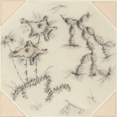 Bambusblomster og kaktus (svart og rød kritt på bundet papir) av Jean Baptiste Pillement