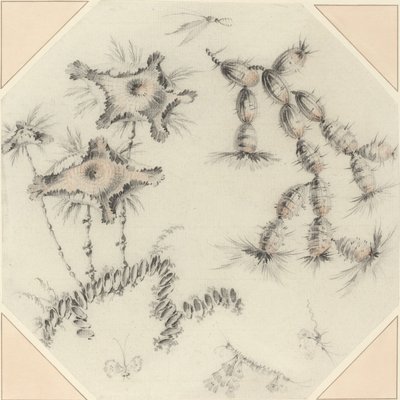 Bambusblomster og kaktus av Jean Baptiste Pillement