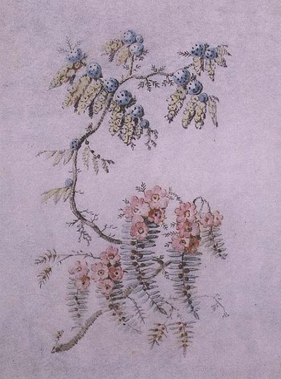 Dekorativ studie av blomster og bær av Jean Baptiste Pillement