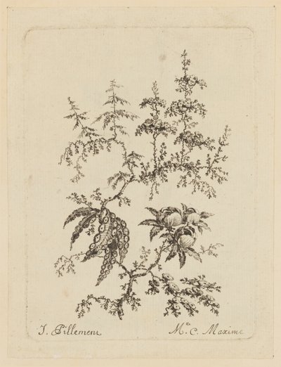 Fantastisk blomst av Jean Baptiste Pillement