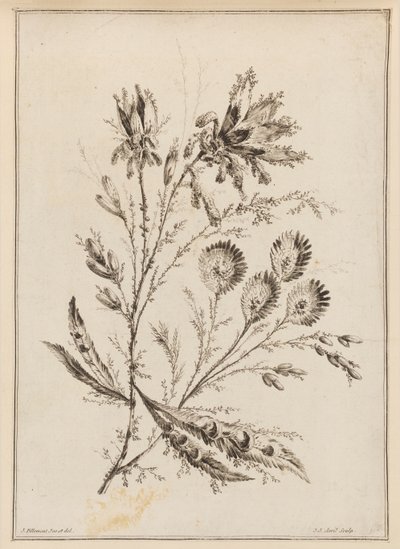 Blomstergren av Jean Baptiste Pillement