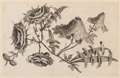 Flower Bough, fra "Chinese Flower Collection" av Jean Baptiste Pillement