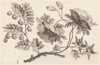 Flower Bough, fra "Chinese Flower Collection" av Jean Baptiste Pillement