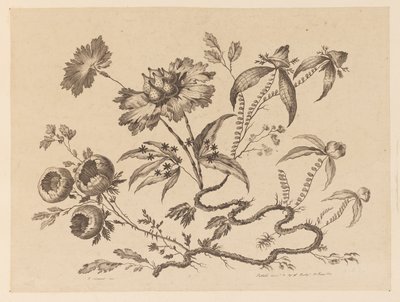 Blomstergrener, fra "Samling av forskjellige fantasiblomster i kinesisk smak" av Jean Baptiste Pillement