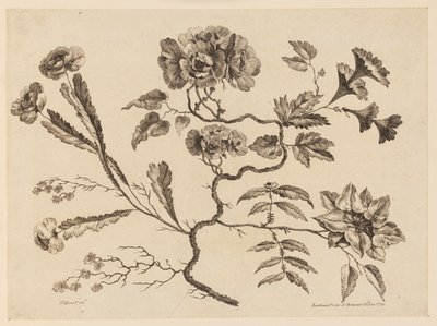 Blomstergrener, fra "Samling av forskjellige fantasiblomster i kinesisk smak" av Jean Baptiste Pillement
