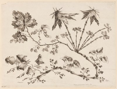 Blomstergrener, fra "Samling av forskjellige fantasiblomster i kinesisk smak" av Jean Baptiste Pillement
