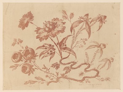 Blomstergrener, fra "Samling av forskjellige fantasiblomster i kinesisk smak" av Jean Baptiste Pillement