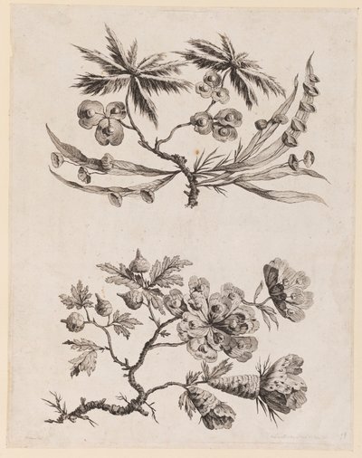 Blomstergrener fra "Chinese Flower Collection" av Jean Baptiste Pillement