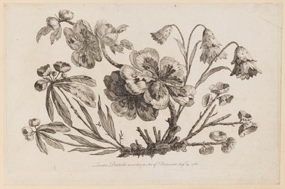 Flower Boughs, fra "Collection of Chinese Flowers" av Jean Baptiste Pillement
