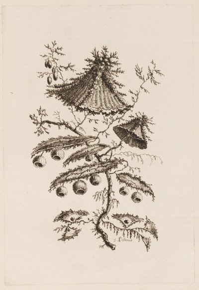 Blomstergren, fra "Fleures Persannes" av Jean Baptiste Pillement