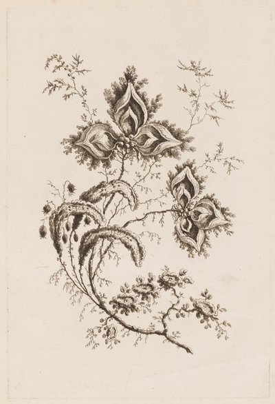 Blomstergren, fra "Fleures Persannes" av Jean Baptiste Pillement