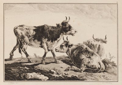 Plate 2, fra "Notebook of Six Sheets of Oxen and Cows" av Jean Baptiste Pillement