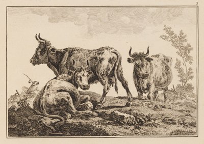 Plate 3, fra "Notebook of Six Sheets of Oxen and Cows" av Jean Baptiste Pillement