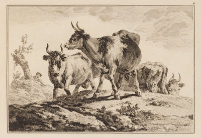 Plate 4, fra "Notebook of Six Sheets of Oxen and Cows" av Jean Baptiste Pillement