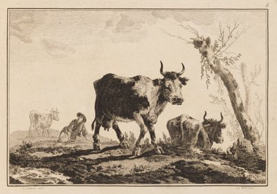 Plate 5, "Notatbok med seks ark med okser og kyr" av Jean Baptiste Pillement