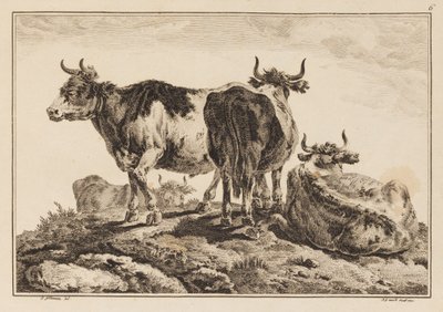 Plate 6, fra "Notebook of Six Sheets of Oxen and Cows" av Jean Baptiste Pillement