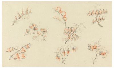 Spray av syv ideelle blomster og av en kvasi naturalistisk blomst av Jean Baptiste Pillement