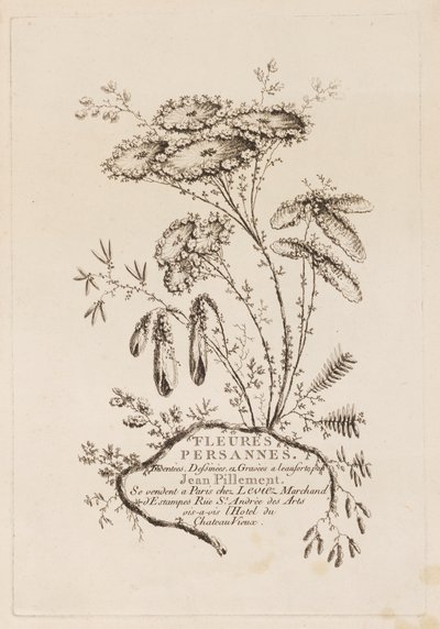 Tittelside, fra "Persiske blomster" av Jean Baptiste Pillement