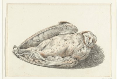 død ugle av Jean Bernard
