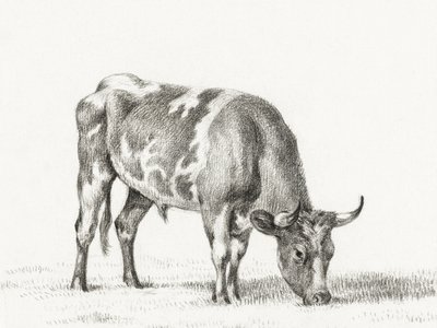  av Jean Bernard