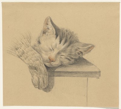 Hode og pote til en sovende katt av Jean Bernard