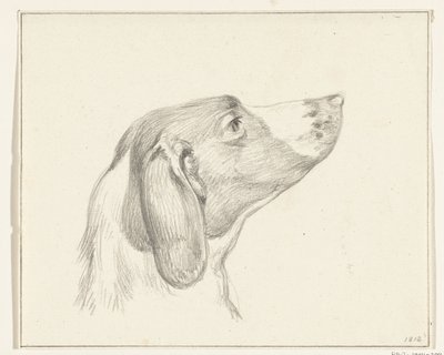 Hodet til en hund, til høyre av Jean Bernard