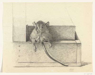 Mus (i en felle?) av Jean Bernard