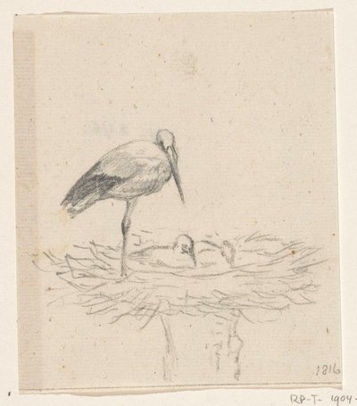 Stork på reir av Jean Bernard
