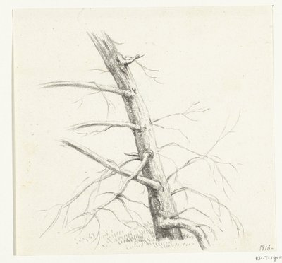 Studie av et tre av Jean Bernard