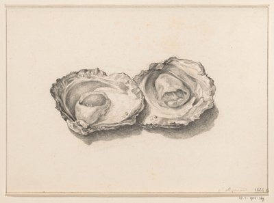 To åpnede østers av Jean Bernard
