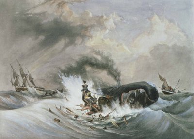  av Jean Francois (after) Garneray
