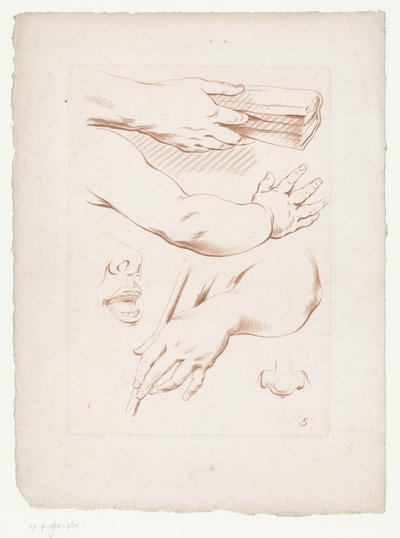 Komposisjon med armer, nese og en del av et ansikt Komposisjoner med deler av menneskekroppen (serietittel) av Jean Francois Janinet