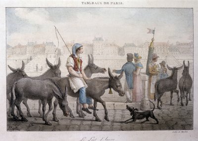 Tidligere gatehandel i Paris: kjøpmann av eselmelk (Ane dans Paris) - Gravering av Jean Henry Marlet (1771-1847) i "" Les Tableaux de Paris"", serie med 72 trykk, slutten av 1800-tallet av Jean Henri Marlet