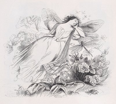 Sylfen fra The Complete Works of Béranger, 1836. av Jean Ignace Isidore Gérard