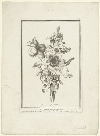 Bukett av anemone og bindweed Anemones simples, Volubilis (tittel på objekt) IIe Cahier de Bouquets (serietittel) av Jean Jacques Avril (I)