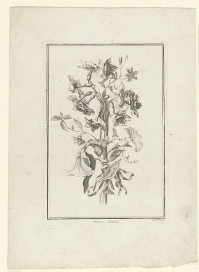 Bukett av påskelilje og bindweed Narcissus, Volubilis (tittel på objekt) IIe Cahier de Bouquets (serietittel) av Jean Jacques Avril (I)