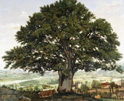 Sletten i Annecy-Chene, veteranen fra Alpene, av Jean Jacques Rousseau