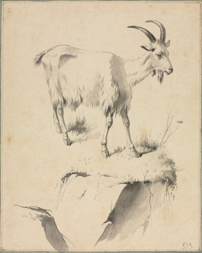 Studie av en geit, 1700-tallet. av Jean Jacques de Boissieu